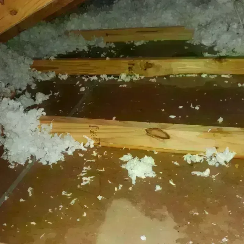 Attic Water Damage in Rock Hill, SC