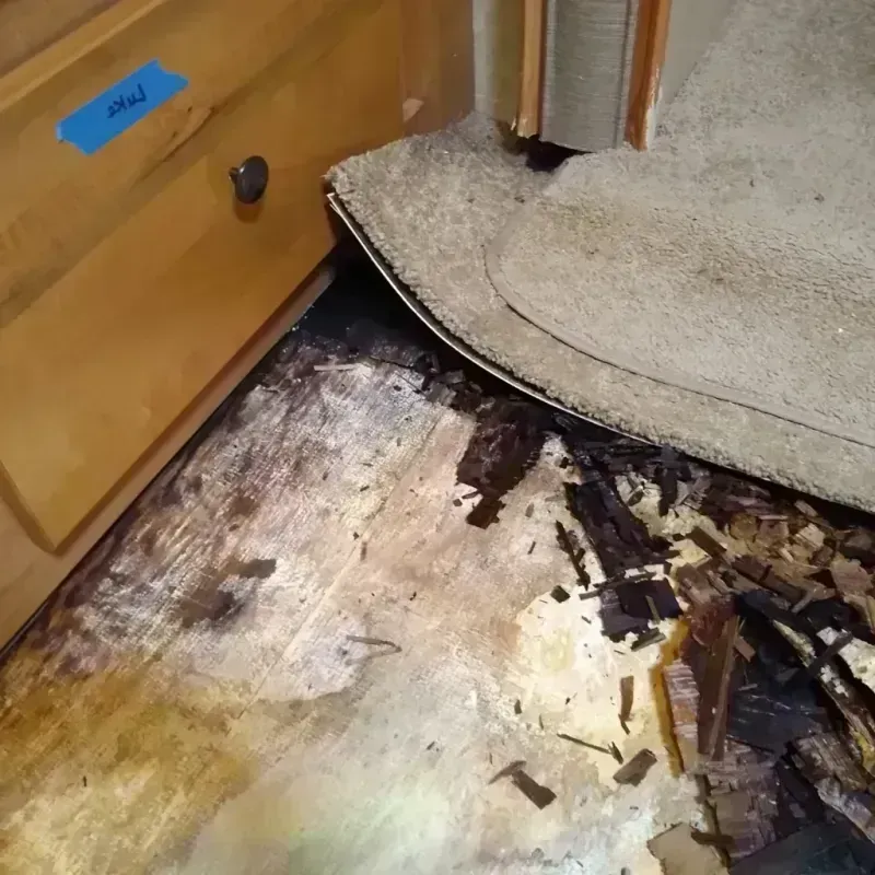 Wood Floor Water Damage in Rock Hill, SC